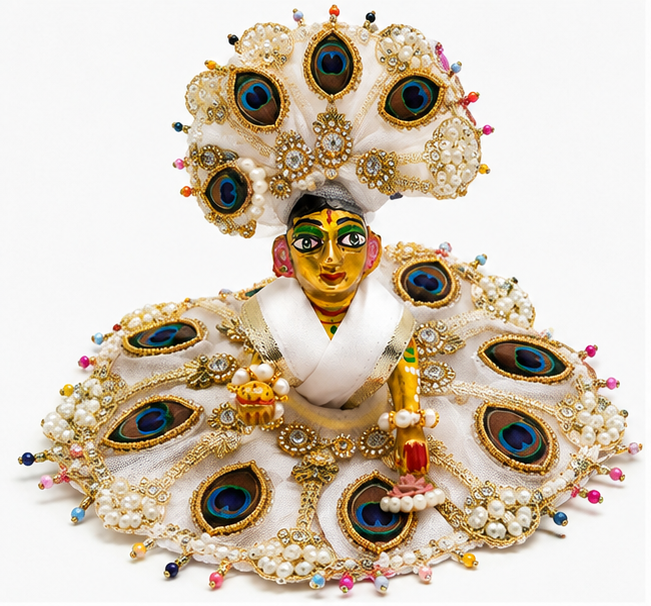 BH 120 Peacock Pearl Poshak (मोर पंख मोती पोशाक)